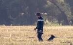 Пастушок …