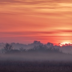 Світанок над селом ...
