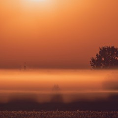 Душа села в тумані …