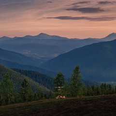 Говерла і Петрус з полонини Ягідна