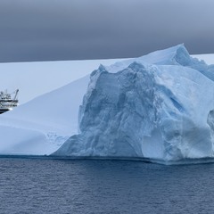 Велетень с криги