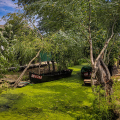 Куточок, схований від світу….