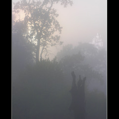 Молитва в тумане.