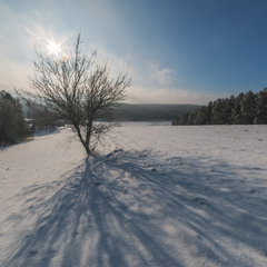 Мороз на сонці..