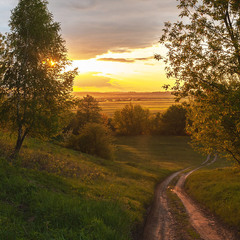 Дорога додому