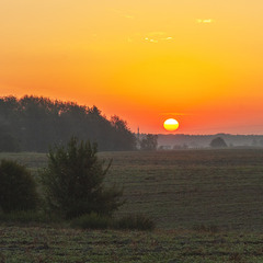 Спокійний ранок..
