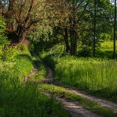 забута дорога...