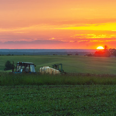 Польові роботи..