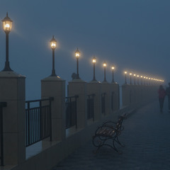 Прогулка в  тумане