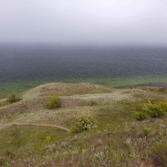 Лиман,туман и степь