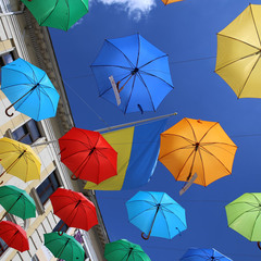Львівські парасольки