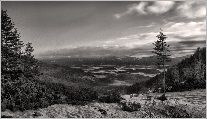 Черно белая фотография пейзаж