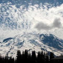 Mount Rainier close