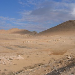 Девственная Пустыня