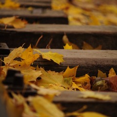 Осенний путь
