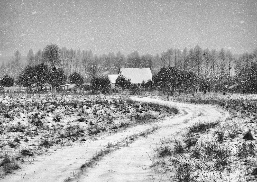 Деревня белая зима. Зимняя деревня. Деревня зима черно белое. Зимний лес в деревне. Зимняя дорога в деревне.