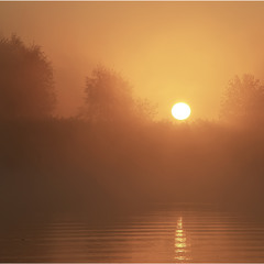 сонце та ранковий туман