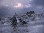 Blizzard in the Carpathians 2