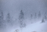 Blizzard in the Carpathians