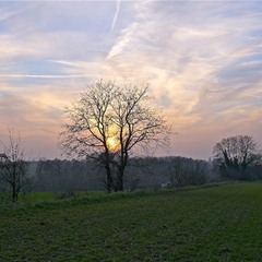 Закат в поле
