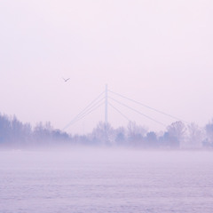 Туман зимы в городе 2