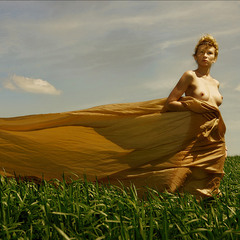 Девушка,ветер, небо,солнце и поле.