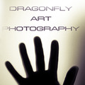 DRAGONFLY ART PHOTOGRAPHY