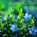 Gosha Gudvin